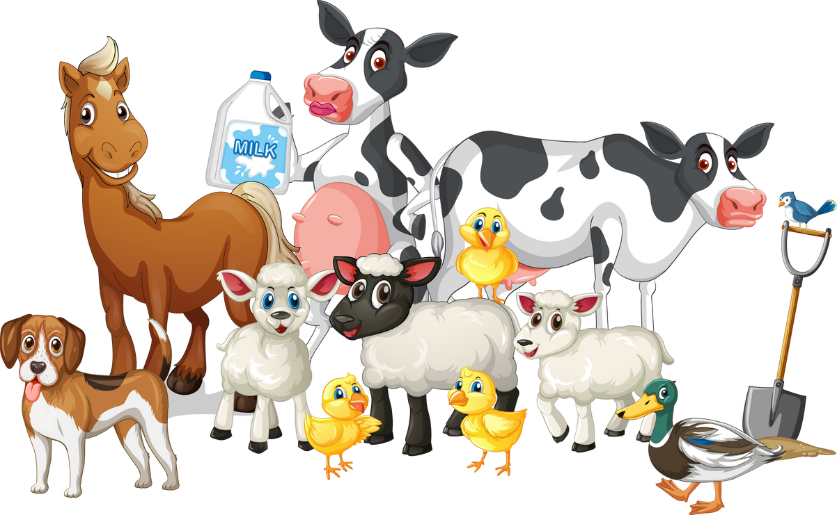 Farm Animals on White Background