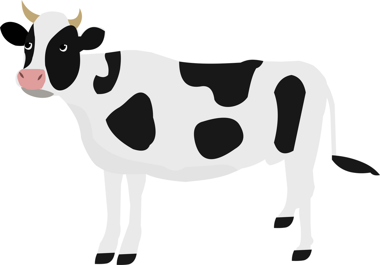 Cow's Milk Illustration